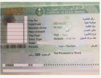 Saudi Visa Options for Bruneian and Bulgarian Citizens